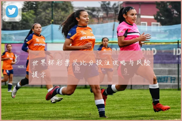 世界杯彩票买比分投注攻略与风险提示
