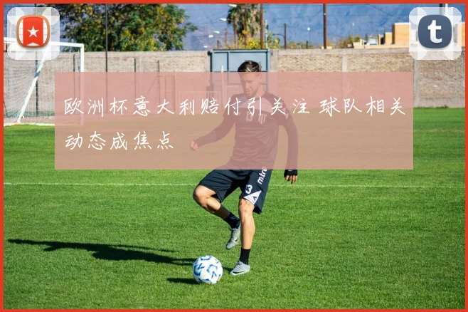 欧洲杯意大利赔付引关注 球队相关动态成焦点