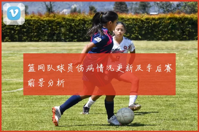 篮网队球员伤病情况更新及季后赛前景分析
